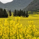 玉溪旅游 缩略图 1