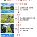 昆明旅游 缩略图 6