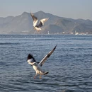 玉溪旅游 缩略图 12