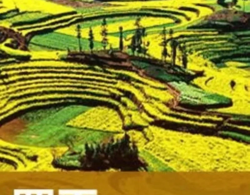 曲靖旅游 1
