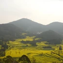 曲靖旅游 缩略图 1
