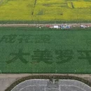 曲靖旅游 缩略图 5