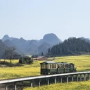 曲靖旅游 缩略图 4