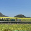 曲靖旅游 缩略图 8