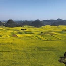 曲靖旅游 缩略图 2