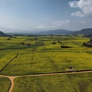 曲靖旅游 缩略图 3