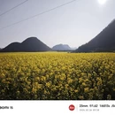 曲靖旅游 缩略图 3