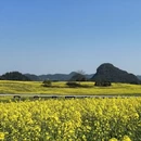 曲靖旅游 缩略图 10