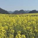 曲靖旅游 缩略图 7