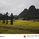 曲靖旅游 缩略图 9