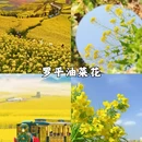 黔西南旅游 缩略图 3
