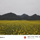 曲靖旅游 缩略图 12