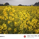 曲靖旅游 缩略图 13