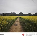 曲靖旅游 缩略图 11