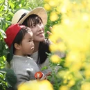 玉溪旅游 缩略图 8