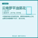 曲靖旅游 缩略图 1