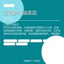 曲靖旅游 缩略图 3