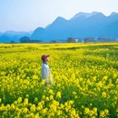 黔西南旅游 缩略图 9