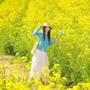 南京旅游 缩略图 2