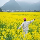 黔西南旅游 缩略图 18