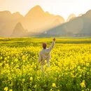 黔西南旅游 缩略图 10