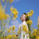 曲靖旅游 缩略图 2