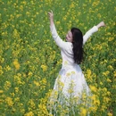 曲靖旅游 缩略图 4