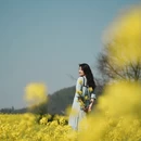 昆明旅游 缩略图 6