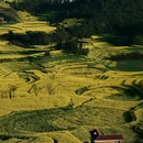 昆明旅游 缩略图 11