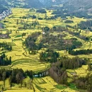 昆明旅游 缩略图 12
