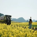 昆明旅游 缩略图 10