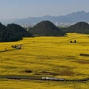 昆明旅游 缩略图 15