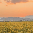 昆明旅游 缩略图 3