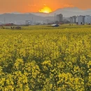 昆明旅游 缩略图 12