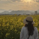 昆明旅游 缩略图 11