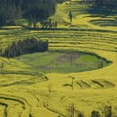 曲靖旅游 缩略图 3