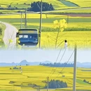 昆明旅游 缩略图 3