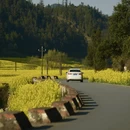 曲靖旅游 缩略图 6