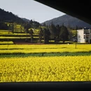 曲靖旅游 缩略图 7