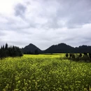 保山旅游 缩略图 1