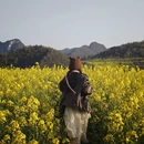 曲靖旅游 缩略图 4