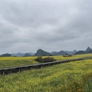 保山旅游 缩略图 10