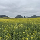 保山旅游 缩略图 7