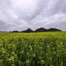 保山旅游 缩略图 3