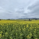 保山旅游 缩略图 5