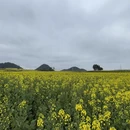 保山旅游 缩略图 9