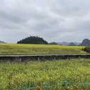 保山旅游 缩略图 8