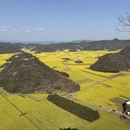 昆明旅游 缩略图 5