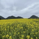 保山旅游 缩略图 11