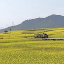 普洱旅游 缩略图 4